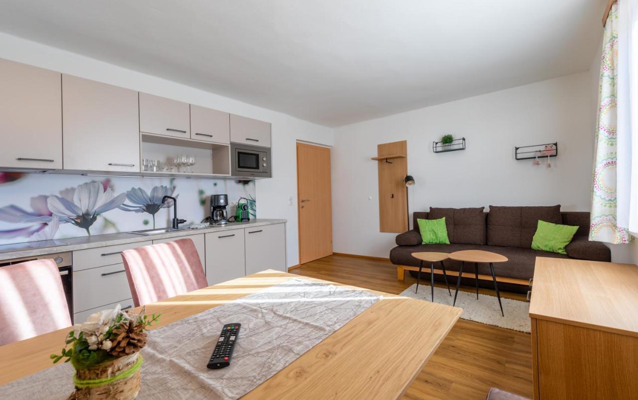 Haus Pitzer/Apartments Troicher Schladming Ngoại thất bức ảnh
